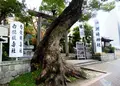 洲崎神社の写真_290056