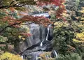 袋田の滝の写真_456963