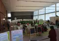 日本科学未来館の写真_24347