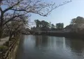 小田原城の写真_26789