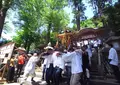 紙祖神岡太神社・大滝神社の写真_42453