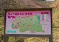 かんざき桜の山桜華園の写真_70688