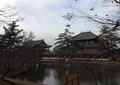 東大寺の写真_127437
