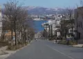 八幡坂の写真_293897