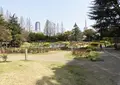 靱公園の写真_308754