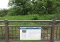 樋の谷古墳の写真_581098