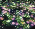 日本科学未来館の写真_25533