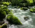奥入瀬渓流　　の写真_1543453