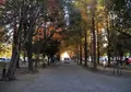 学びの森の写真_21670