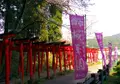 かんざき桜の山桜華園の写真_70691