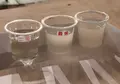 伊東 (日本酒「敷嶋」)の写真_752615