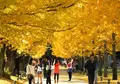 学びの森の写真_127948