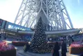 東京スカイツリーの写真_206543