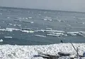 北浜駅の写真_25878