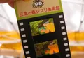 三鷹の森ジブリ美術館の写真_19959