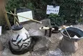 桃井ミュージアムの写真_280255