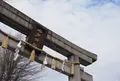 今戸神社の写真_22211