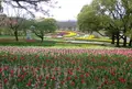 万博記念公園の写真_28263