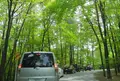 シャトレーゼ 白州工場の写真_30007