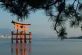 豊国神社（千畳閣）の写真_279393