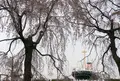 山下公園の写真_301337