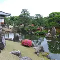 元離宮 二条城の写真_1108