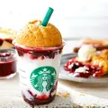 スターバックスコーヒー六本木ヒルズウエストウォークラウンジ店の写真_126355