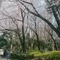 新宿中央公園の写真_126994