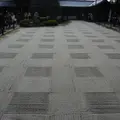 東福寺の写真_12745