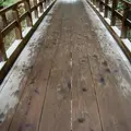 東福寺の写真_12746