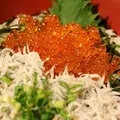 江の島シーキャンドルの写真_127855