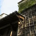 そばの杜の写真_12973