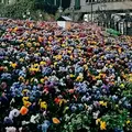 白い恋人パークの写真_133003
