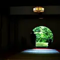 明月院（あじさい寺）の写真_134589
