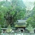 若狭姫神社の写真_135382