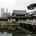 広島城の写真_13583