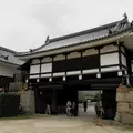 広島城の写真_13585