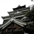 広島城の写真_13587