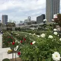 大阪市中央公会堂　の写真_13847