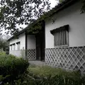 福岡城跡の写真_13856