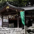 椿大神社の写真_14522