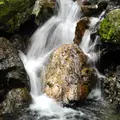 養老の滝の写真_14563