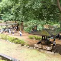 七沢森林公園の写真_150636