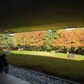 平等院の写真_16041