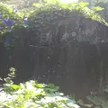 陣原団地の写真_162187