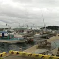 月の浦新港の写真_162594