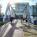 横浜汽車道の写真_162852