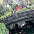 浅草寺の写真_168668