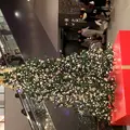 東京スカイツリーの写真_169489
