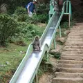 嵐山モンキーパークいわたやまの写真_1741